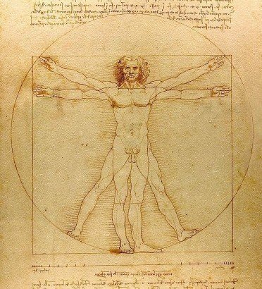 400px-Da_Vinci_Vitruve