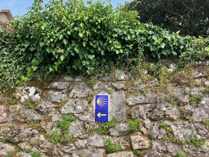 The iconic Camino scallop shell and yellow arrow.