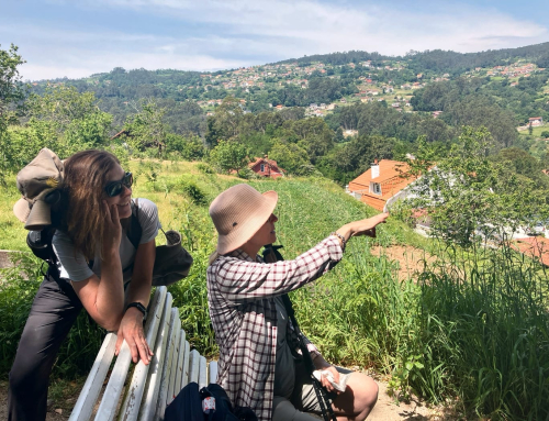 The Song I Carried Home (After Walking the Camino)