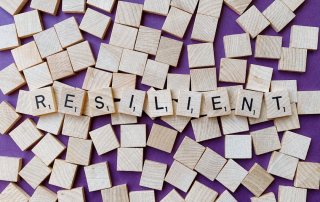 Scrabble board and resilience