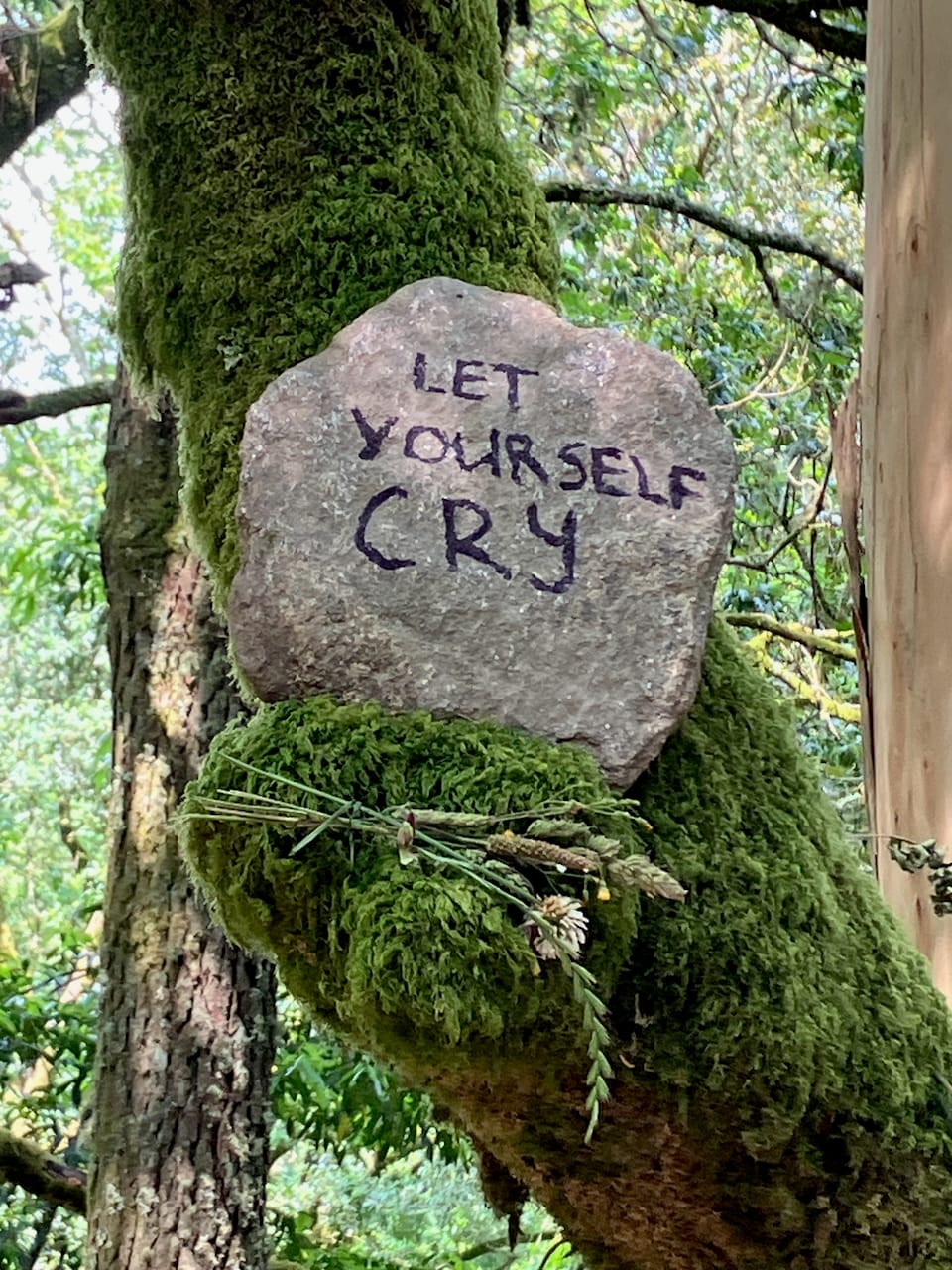 Let yourself cry on the camino