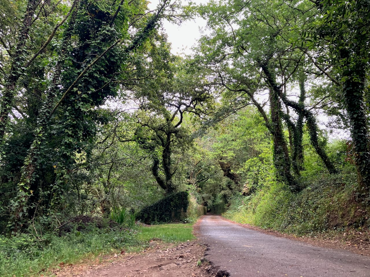 Rois, La Coruña, Camino de Compestila